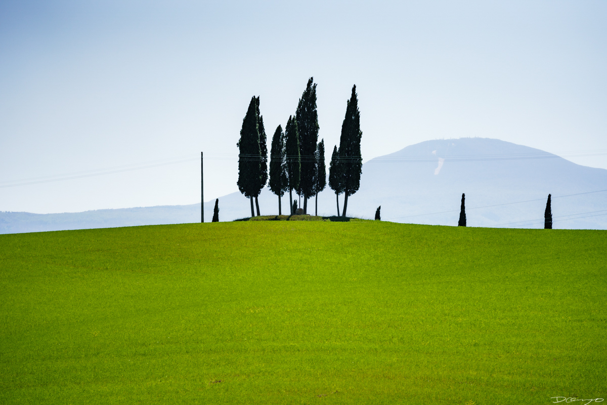Photos from Rome, Venice, Florence, Tuscany, Manarola, Vernazza, Riomaggiore, Verona, Trento, and the Italian Alps in Spring of 2022.